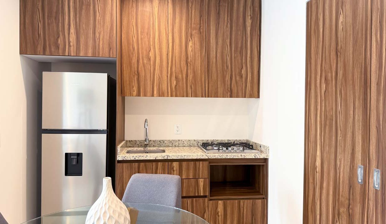 Altea-puerto-vallarta-desarrollo- (2)