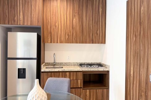 Altea-puerto-vallarta-desarrollo- (2)