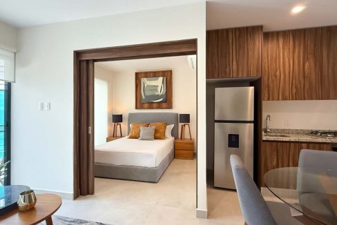 Altea-puerto-vallarta-desarrollo- (22)